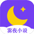 雾夜小说