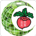 全民买菜app