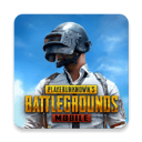 PUBGMOBILE国际服官方正版