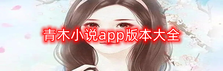 青木小说app版本大全