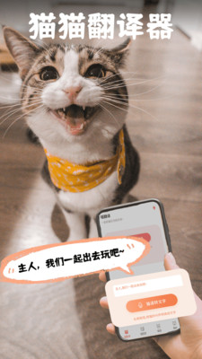 猫翻译