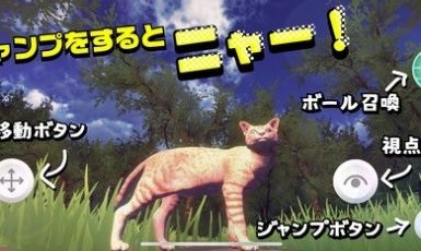 猫的春天中文版