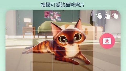 我的猫咪俱乐部