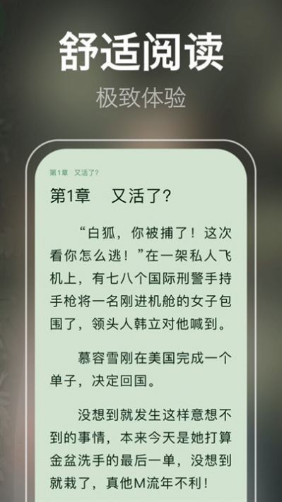 泉涩小说免费版